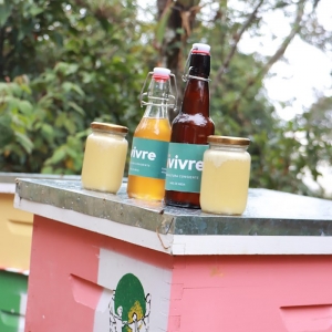  - jalisco,vivre permacultura cociente - miel de abeja - asociación de permacultura loja.