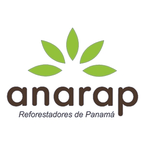  - rosalía arteaga,cuantificación de la captura de carbono de plantaciones comerciales y de conservación de plantabal s.a.